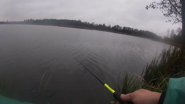 ВСІ КАЗАЛИ,ЩО МИ ПРИДУРКИ/Пошук ТРОФЕЙНОЇ щуки в СИЛЬНИЙ ДОЩ на р.УЖ смотреть онлайн