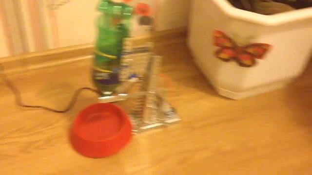 IoT кормушка для кота / IoT Cat Feeder