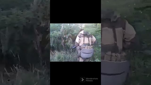 Вечные странники. смотреть онлайн