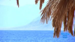 Hilton Nuweiba Coral Resort