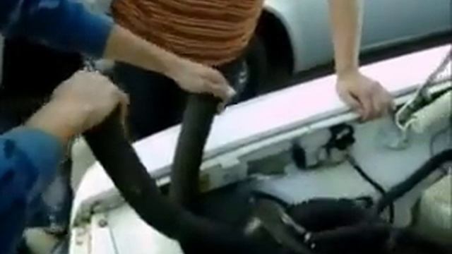 Самарский клуб Волгарей (отчёт 2010).mp4 смотреть онлайн