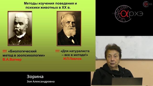 Зоя Зорина: "Введение в зоопсихологию" смотреть онлайн