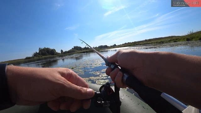 Заплыл на лодке в кувшинки и сразу начался клев. Рыбалка на СПИННИНГ смотреть онлайн