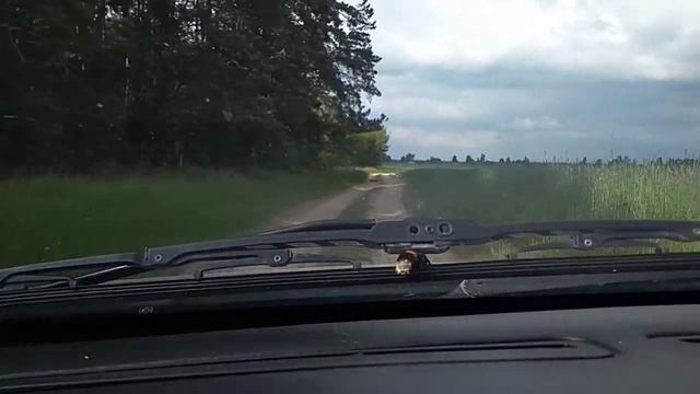 Белорусские дороги. Участок СТ "Сосновый бор" (Роги-Илецки) - Грабовка смотреть онлайн