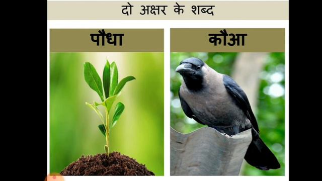 #औ_की_मात्रा#हिन्दी_कक्षा_1# смотреть онлайн