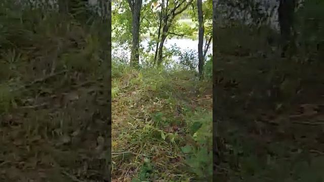 Таня Захарова(3) смотреть онлайн