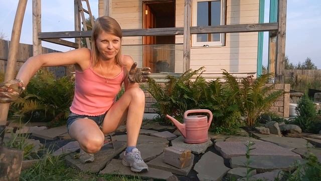 Пересадка лаванды. Сад. смотреть онлайн