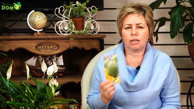Лучшие Сорта Дыни Для Средней Полосы ✔️ Какие семена Дыни выбрать ? смотреть онлайн