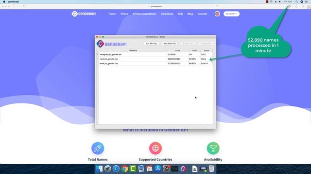 GenderAPI.io excel application find gender from name, email, instagram, twitter, facebook смотреть онлайн