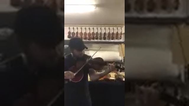 Gusetto model Violin смотреть онлайн