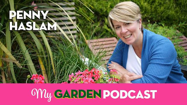 My Garden Podcast Ep1: Rehydrated Hydrangea смотреть онлайн