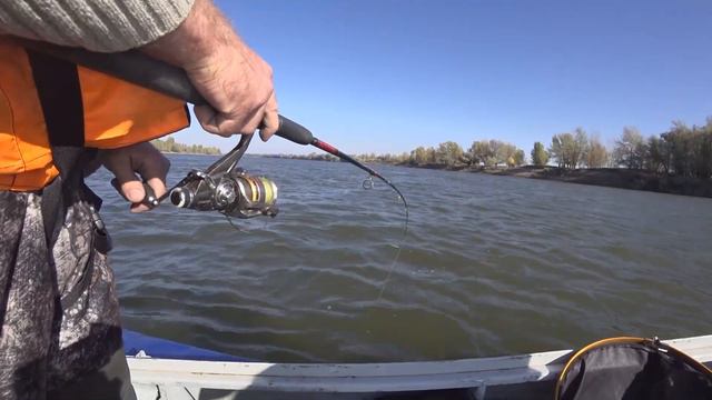 РЫБАЛКА НА АХТУБЕ ПОДОБРАЛИ КЛЮЧ К РЫБЕ смотреть онлайн