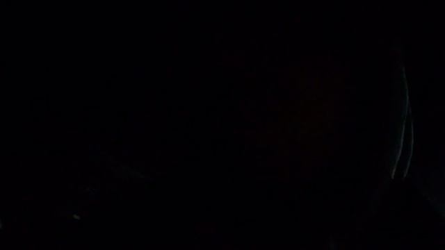 Жаба. В чем же отличия от лягушки? смотреть онлайн