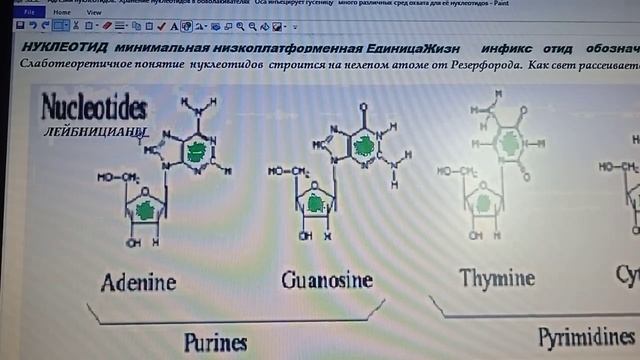 3 2 2 генетика для психологии Комбинаторный минимум Земли H C N O Нуклеотиды КонтактАбельные смотреть онлайн
