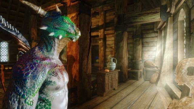 Skyrim : SE 2017 - 'We Are No Ordinary People' Showcase (250+ Mods + ENB)