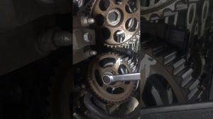 замена гидрокомпенсаторов chevrolet lacetti 1.4 без снятия ГРМ