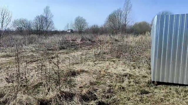 Выделяю границы участка забивая колья... Выпиливаю заросли в канаве... смотреть онлайн