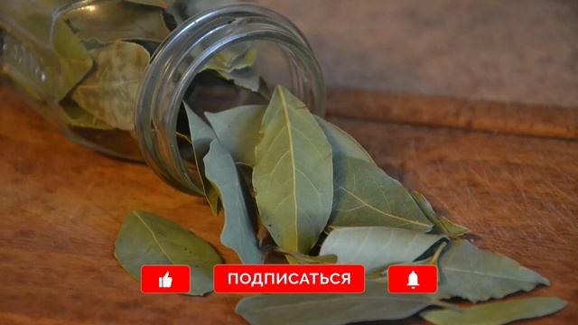 Положите лавровый лист в кошелек. Ритуал на быстрый приход денег. Простая денежная практика. смотреть онлайн