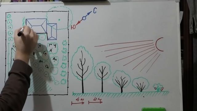 РАЗМЕЩЕНИЕ ДЕРЕВЬЕВ и кустарников на участке смотреть онлайн