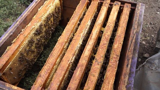 Отбор рамок для качки