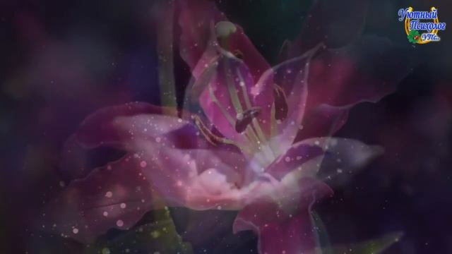 Соляр//12 Магических дней//Закладываем удачу на год//Зимнее Солнцестояние 2018 смотреть онлайн