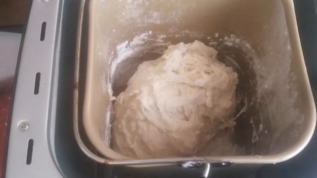 Домашние Животные и Их Уход