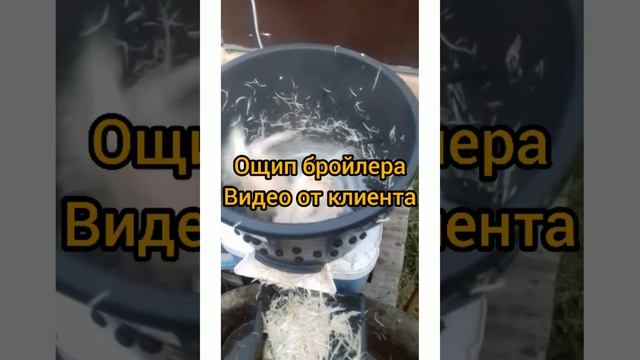 Перосъемная машина ПМ-7У Отзывы от птицеводов. смотреть онлайн