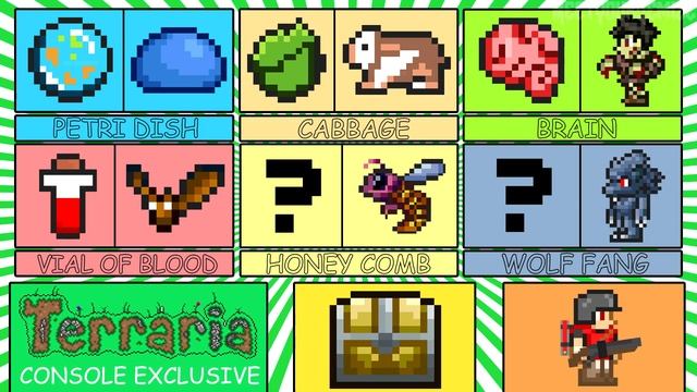 Terraria: How To Get ALL 6 Console Pets (Werewolf, Tiphia, Zombie, Guinea Pig, Bat, Slime) @demizeg смотреть онлайн