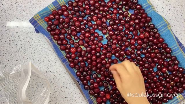 ШИЕ МҰЗДАТУ/ ЗАМОРОЗКА ВИШНИ смотреть онлайн