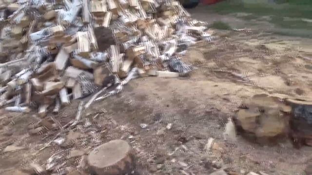 Забрали телят со степи, сдали четыре головы скота. смотреть онлайн