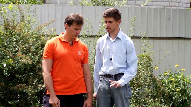 ПОЛЫНЬ эффективное средство от ТЛИ - природный инсектицид смотреть онлайн