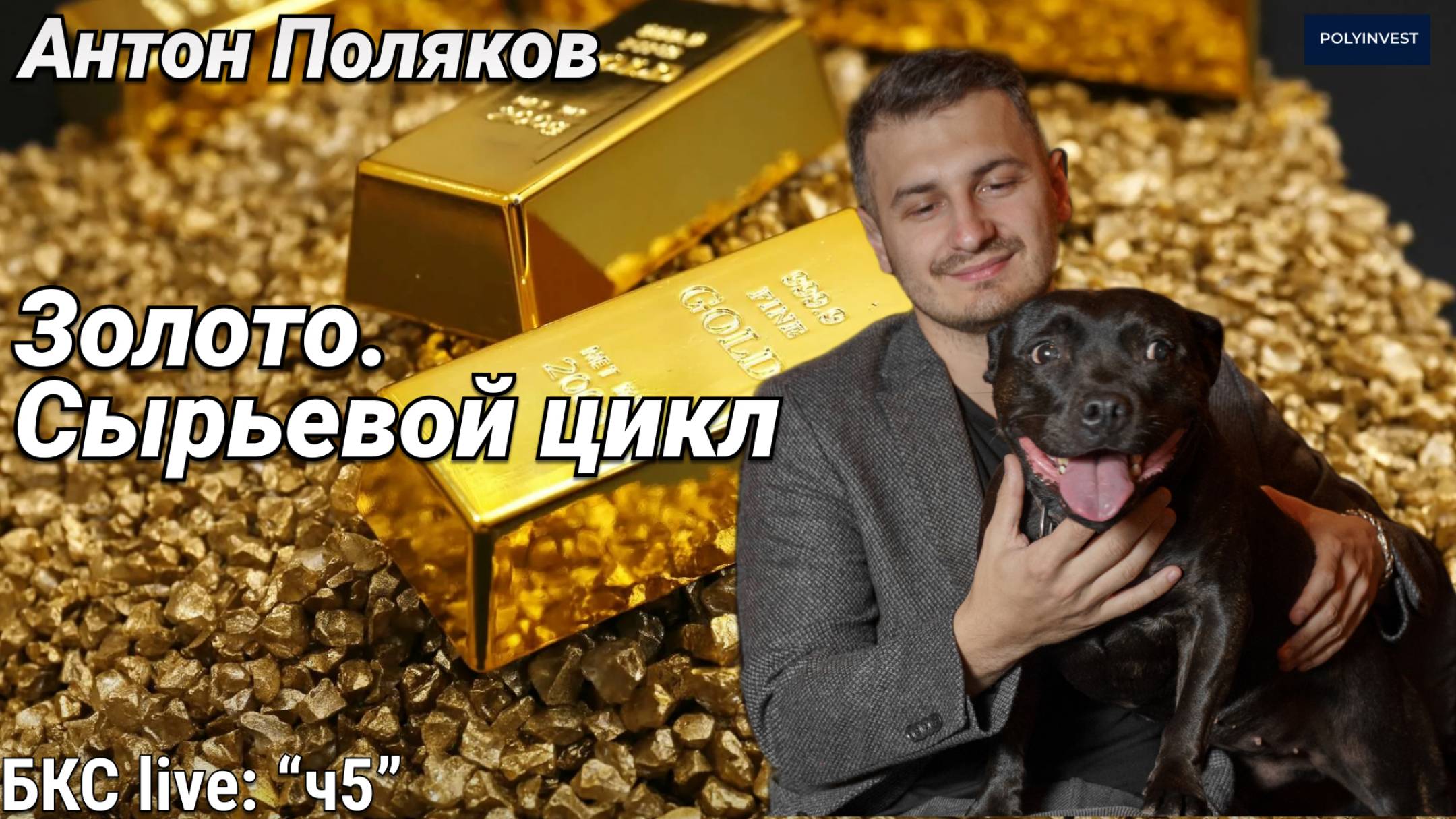 Золото. Сырьевой цикл. Самолет. АФК Система. Тинькофф. Новатэк смотреть онлайн