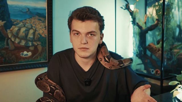 5 причин НИКОГДА НЕ заводить удава смотреть онлайн