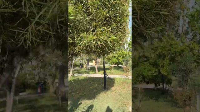 Прогулки по променаду вдоль моря в Сиде смотреть онлайн