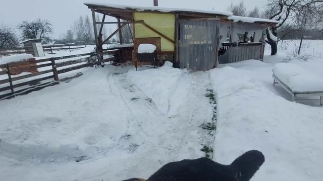 Нужно много всего, что бы жить в деревне с комфортом... Убираю снег и забиваю гвозди по новому! смотреть онлайн