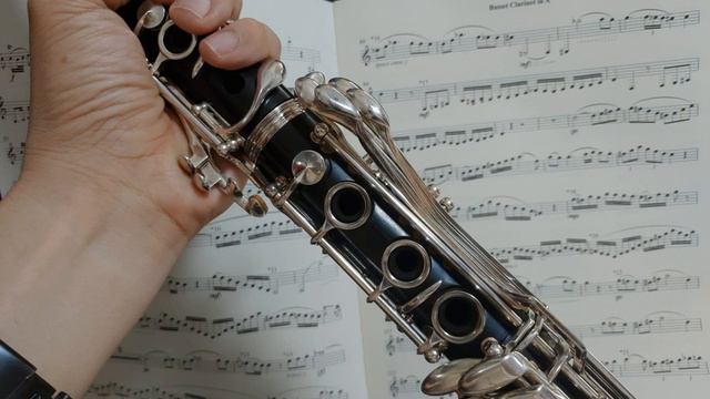 Test Selmer 10S Basset Clarinet in A смотреть онлайн