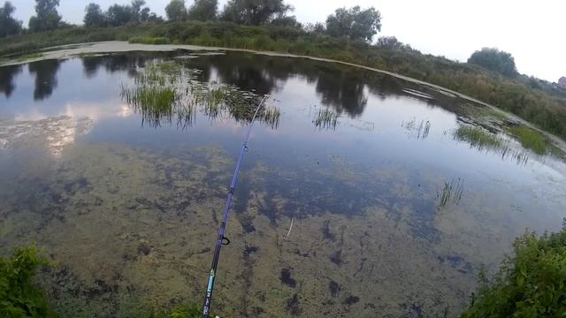 Рыбалка 1.06 "Красный Яр" Три крупные Щуки за раз! смотреть онлайн