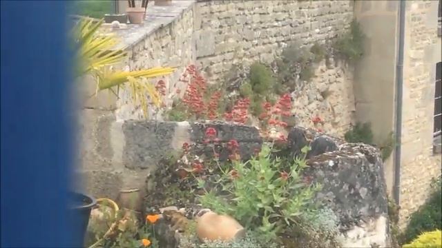 France. Жизнь во Франции. Обзор французской деревни Louresse-Rochmenier ( 2 часть) смотреть онлайн