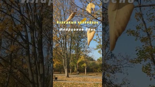 #Shorts/ 3 ноября/ Какой сегодня день смотреть онлайн