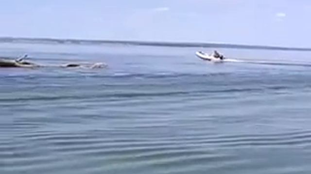 VID 20150728 145025 смотреть онлайн