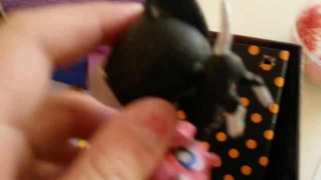 Где хранятся вещи для петов? И петики😊 смотреть онлайн