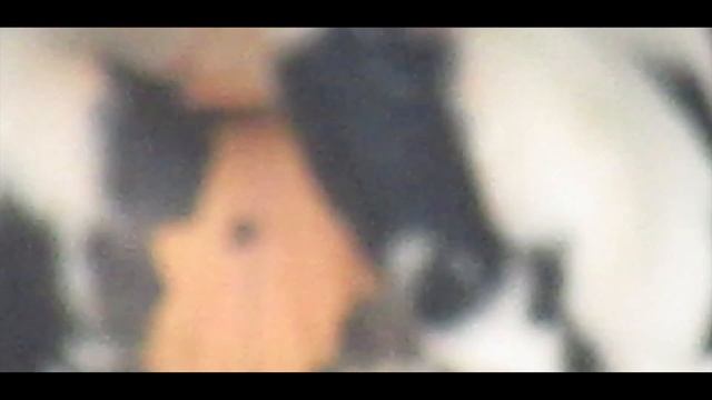 Canon Power Short SX420 IS Zoom Test смотреть онлайн