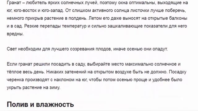 Гранатовое дерево: как выращивать растение в домашних условиях? смотреть онлайн