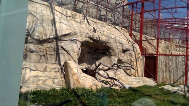 #6 Чёрный ягуар смотреть онлайн