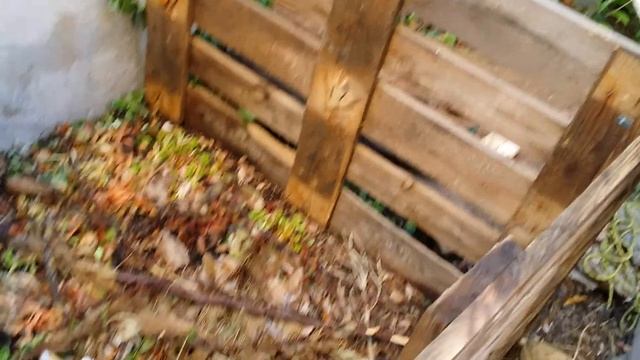 Što ubacivati u vrtni komposter? - Zeleni koraci S01 E03 смотреть онлайн