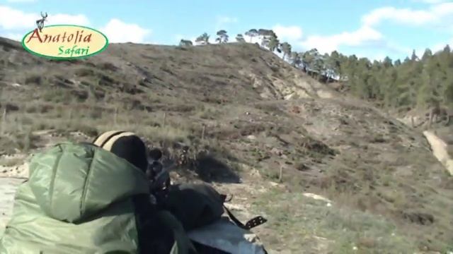 Охота на безоарового козла с Anatolia Safari смотреть онлайн