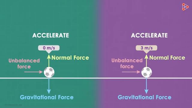 Newton's First Law of Motion | Forces and Motion | Physics | Infinity Learn смотреть онлайн