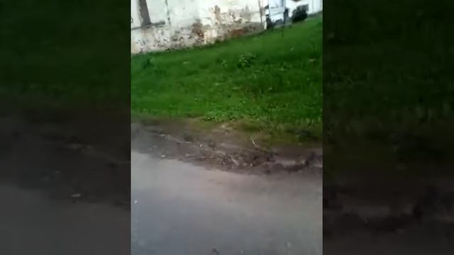 Прогулка по селу Писцово смотреть онлайн