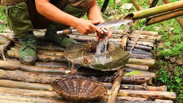 Lots of Wild Grapes, Back to the Shelter: Survival Alone In The Rainforest | EP.90 смотреть онлайн