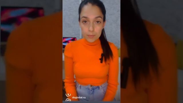 Как искать работу, если ты junior и только закончил обучение? смотреть онлайн